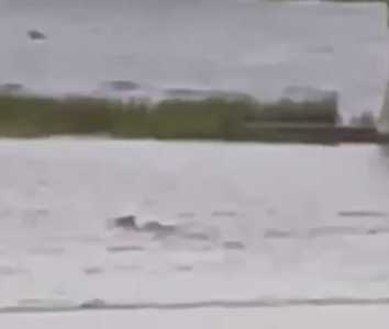 Screenshot Thegatewaypundit.com