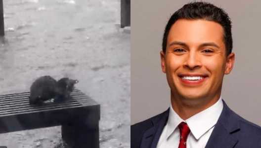 Screenshot Thegatewaypundit.com