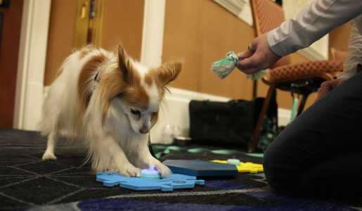 Screenshot Washingtontimes.com