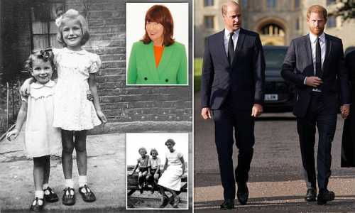 Screenshot Dailymail.co.uk