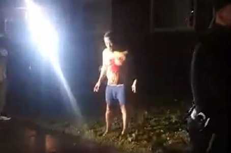 Screenshot Thegatewaypundit.com