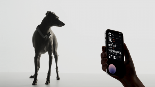 Screenshot Foxbusiness.com