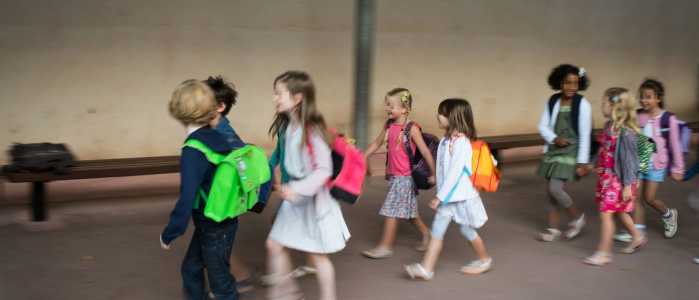 Screenshot Dailycaller.com