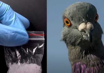 Screenshot Thegatewaypundit.com