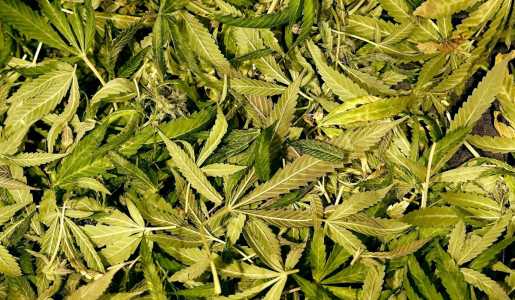 Screenshot Washingtontimes.com