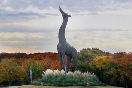 Screenshot Nypost.com