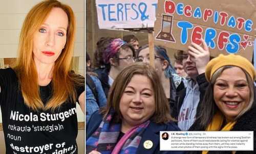 Screenshot Dailymail.co.uk