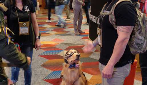 Screenshot Washingtontimes.com