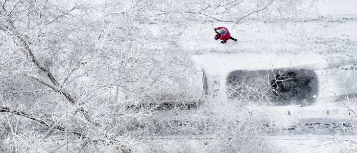 Screenshot Dailycaller.com