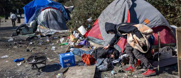 Screenshot Dailycaller.com