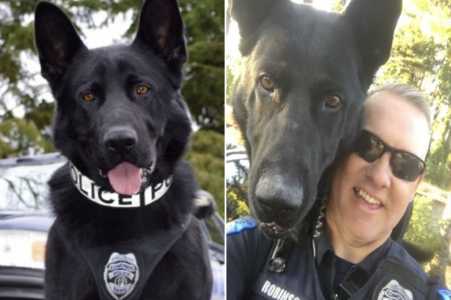 Screenshot Nypost.com