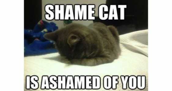 Screenshot Twitchy.com