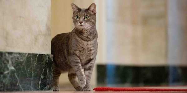 Screenshot Businessinsider.com