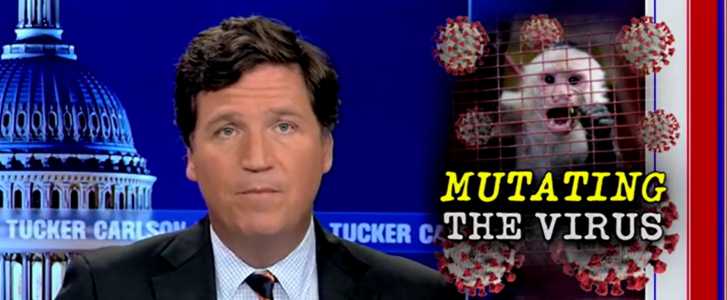 Screenshot Dailycaller.com