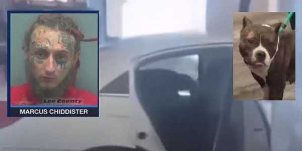 Screenshot Theblaze.com