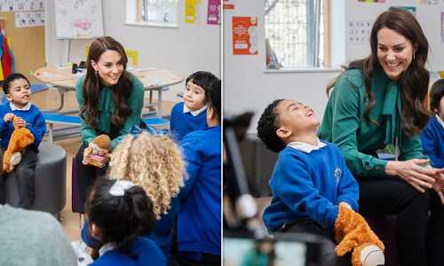 Screenshot Dailymail.co.uk