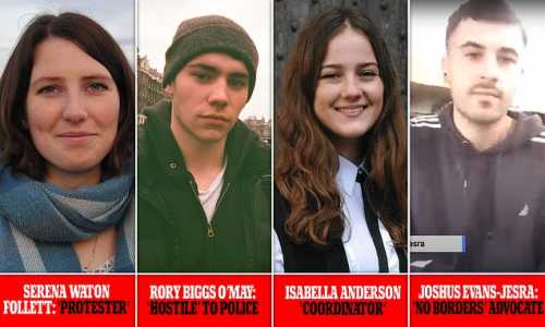 Screenshot Dailymail.co.uk