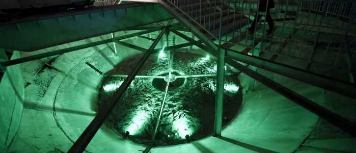 Screenshot Dailycaller.com