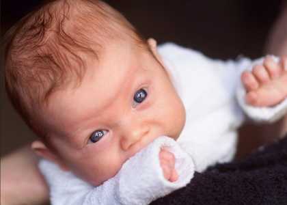 Screenshot Thegatewaypundit.com